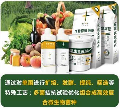 從辣椒加工到菌肥生產(chǎn)，她用五年搶占南方市場(chǎng)！_南方plus_南方+生物有機(jī)肥料研發(fā)