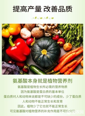 微生物有機(jī)肥與氨基酸肥料的協(xié)同創(chuàng)新 復(fù)合氨基酸原粉、水溶肥及葉面肥的生物有機(jī)肥料研發(fā)