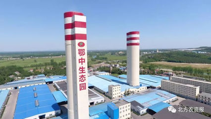 以品牌引領(lǐng)綠色農(nóng)業(yè) 復(fù)合微生物肥料研發(fā)的新時(shí)代